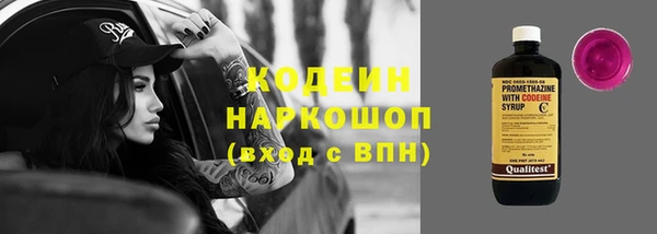 индика Алзамай