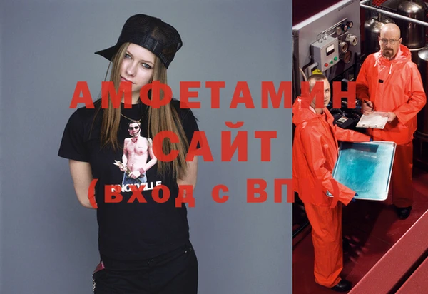 индика Алзамай