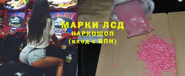 индика Алзамай